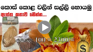 කොස් කොළ වලින් සල්ලි හොයමු | Let's make money from jackfruit leaves | Business Ideas# | ස්වයං රැකියා