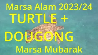 Marsa Mubarak   2023 24   1080p