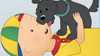 Pepper der Hund | Die Neuen Abenteuer von Caillou