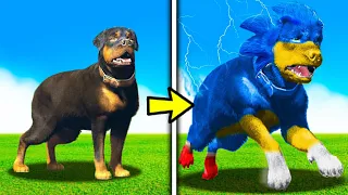 EVOLUINDO O CHOP para O SONIC-CHOP no GTA 5!! (Incrível!!)