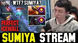 Definition of Perfect Ice Wall | Sumiya Invoker Stream Moment #529