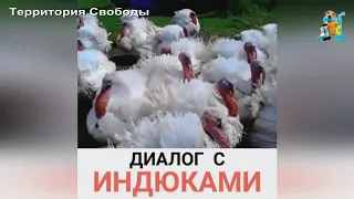 СВОБОДУ ИНДЮКАМ.