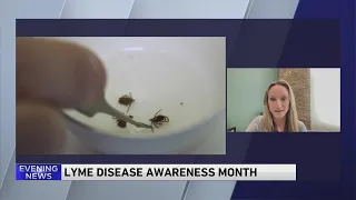 Lyme Disease Awareness Month: Signs to look out for