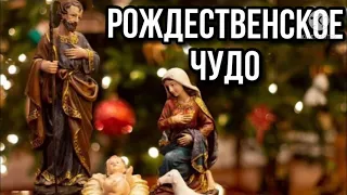 Рождественское чудо - рождественская песня 2021