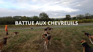 Battue aux chevreuils 2022-2023