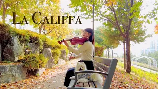 La Califfa | 라칼리파 |Ennio Morricone|엔니오모리꼬네 | 가을에 듣기 좋은 잔잔한 음악🍂| Violin Cover