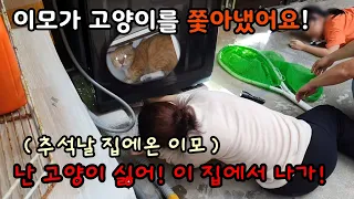 추석연휴 이모가 고양이를 쫓아냈어요[고양이탐정]How to find a lost cat