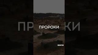 Хамис аз-Захрани. маленькое напоминание о смерти