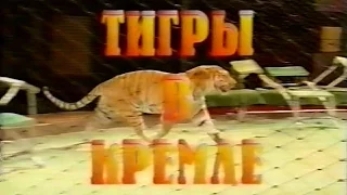 D382 / Тигры в Кремле / Юбилей Вальтера Запашного (1998)