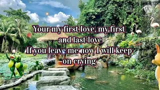 YOU'RE MY FIRST LOVE with lyrics by Raul Aragon #songrequestedlyricsvideo #youremyfirstlove
