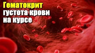 САМАЯ ЧАСТАЯ ПОБОЧКА НА КУРСЕ | ГЕМАТОКРИТ И СЛИВ КРОВИ