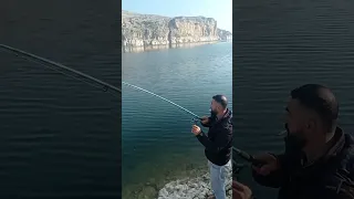 Yemlik Gümüş balığı ile sazan avı