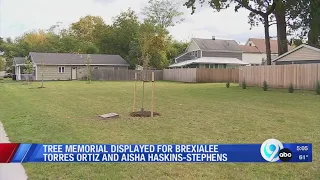 Tree memorial for Brexialee Torres Ortiz and Aisha Haskins-Stephens