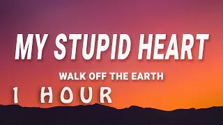 Walk off the Earth - My Stupid Heart (Lyrics) | 1 HOUR