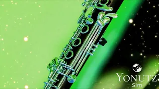 Instrumentala Clarinet 1 💎 Kuchek Style 2023 @YonutzSlm