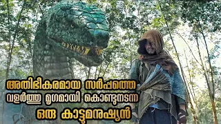 കോഴിക്കുഞ്ഞിനെ വിരിയിക്കുന്നതുപോലെ രാക്ഷസ പാമ്പുകളെ മുട്ട വെച്ച് വിരിയിക്കുന്ന ഒരു കാട്