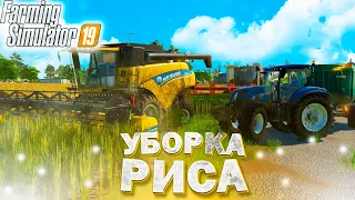 ПРОДОЛЖАЕМ УБОРОЧНУЮ!ЗАРУБЕЖНАЯ КАРТА- ДЕНЬ2! FARMING SIMULATOR-19