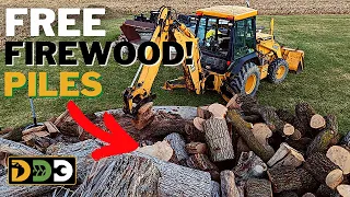 How I Get Huge Firewood Piles For FREE!  (Spotlight on a Professional Arborist)