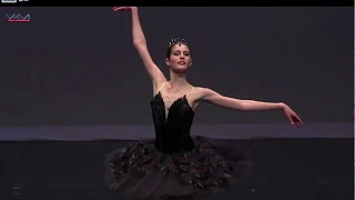 Basia Rhoden- Black Swan