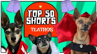 TOP 50 VÍDEOS DE TEATROS MAIS VISTOS NO SHORTS DOS PEQUENOS PRÍNCIPES | COMPILADO