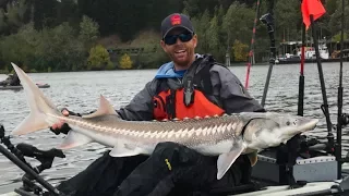 Kayak Fishing: White Sturgeon in Downtown Portland | West Coast | Field Trips with Robert Field