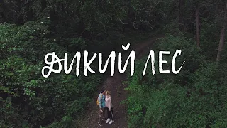 VLOG: ДИКИЙ ЛЕС В КРАСНОДАРЕ