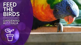 Attract birds to your garden by feeding responsibly | Beneficial Animals | Gardening Australia