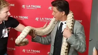 shahrukh khan  carry a "python" around his neck