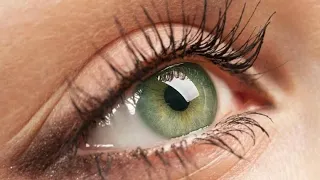 5 faits sur les yeux verts 😲# shorts