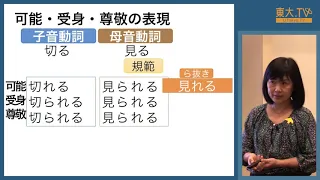 田中弥生「『日本語学概論』ことばのゆれ：ら抜きことば」ー第11回東大院生によるミニレクチャプログラム
