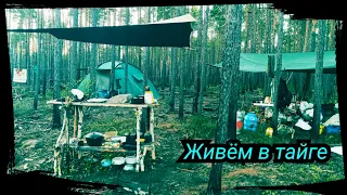 ЖАРИМ РЫБУ, ПЕКЁМ ХЛЕБ В ТАЙГЕ / ЖЕРЛИЦА ПО ГИЛОВСКИЙ))  Bushcraft ( # 3/5. )