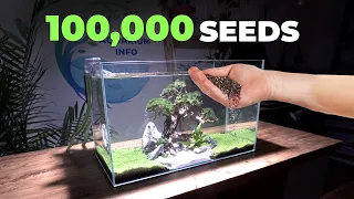 I Planted 100,000 Seeds In A Fish Tank