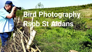 Capturing Lapwing Chicks | Wildlife Photography, RSPB ST Aidans.