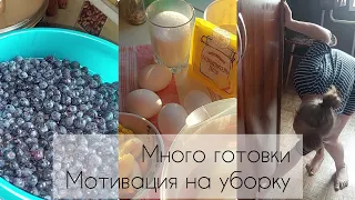 Мотивация на уборку и готовку,  покупки продуктов  купили ягоду!