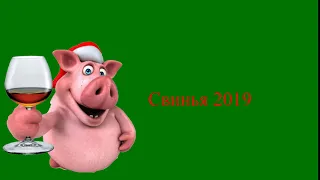 Свинья 2019 футаж