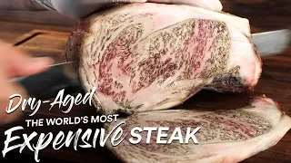1 Million Special: DRY AGE Most EXPENSIVE Steak on Earth | Guga Foods