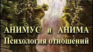 Психология отношений понятие Анима и Анимус