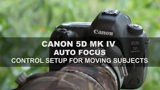 Canon 5D Mk IV - Autofocus: Part 1/4 - Control Setup for Moving Subjects