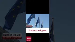 Угорці ДОСІ тримають українських полонених. Ще двох вдалося визволити