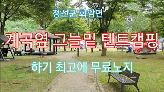 계곡옆 그늘밑 텐트캠핑 최고!!무료노지소개