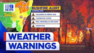 Fires and wild weather across NSW and Queensland | 9 News Australia