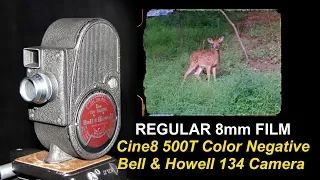 Regular 8mm Film - Cine8 500T Color Negative / B&H 134 Camera