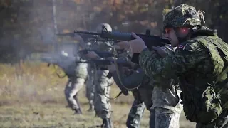 ProВійсько. 03.02.2018: Новоолександрівка - НАША, UNIFIER, ракета "Нептун"