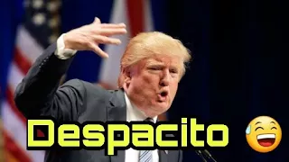 Donald Trump Singing Despacito||Ft.Justin Bieber,Daddy yankee,Luis Fonsi