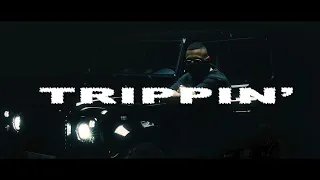 LUCIANO - TRIPPIN