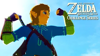 THE NO DAMAGE HAIL MARY: Breath of the Wild Challenge Series