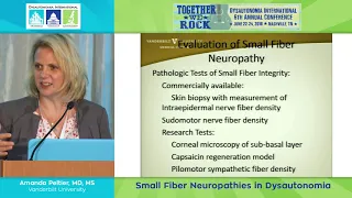 Small Fiber Neuropathies in Dysautonomia - Dr. Amanda Peltier