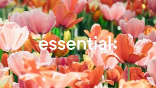 [Playlist] 4 hours spring mood pop