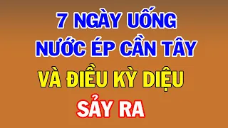 7 Ngày Uống Nước Nước Ép Cần Tây Liên Tục Điều Gì Sẽ Sảy Ra ?