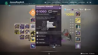 PvE and PvP God Roll Gnawing Hunger | Destiny 2